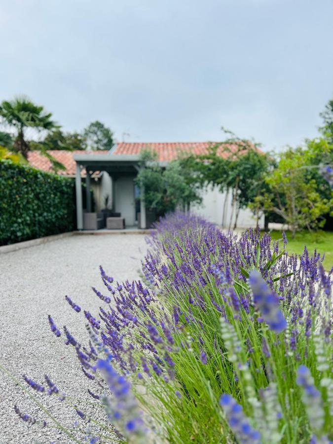 O'Pintxo Bed & Breakfast Onesse-et-Laharie Eksteriør bilde