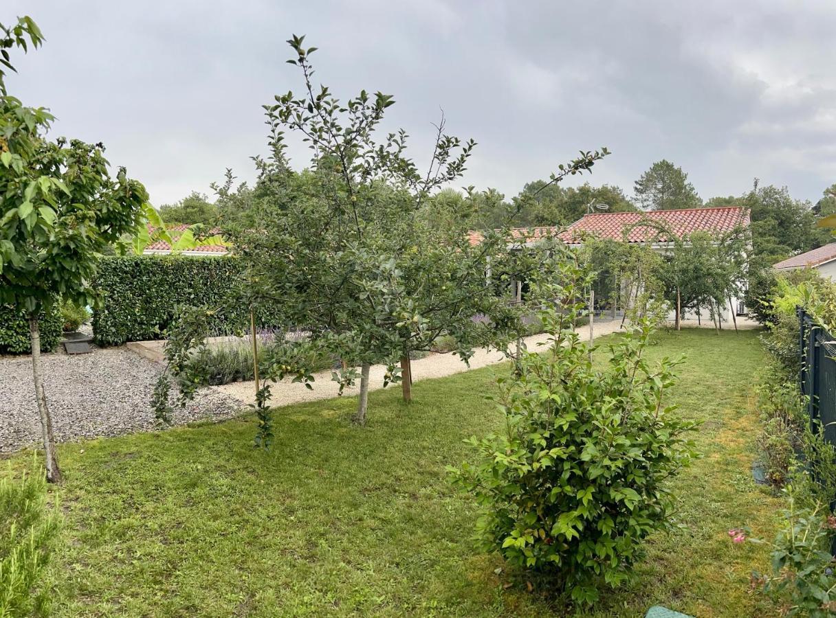 O'Pintxo Bed & Breakfast Onesse-et-Laharie Eksteriør bilde